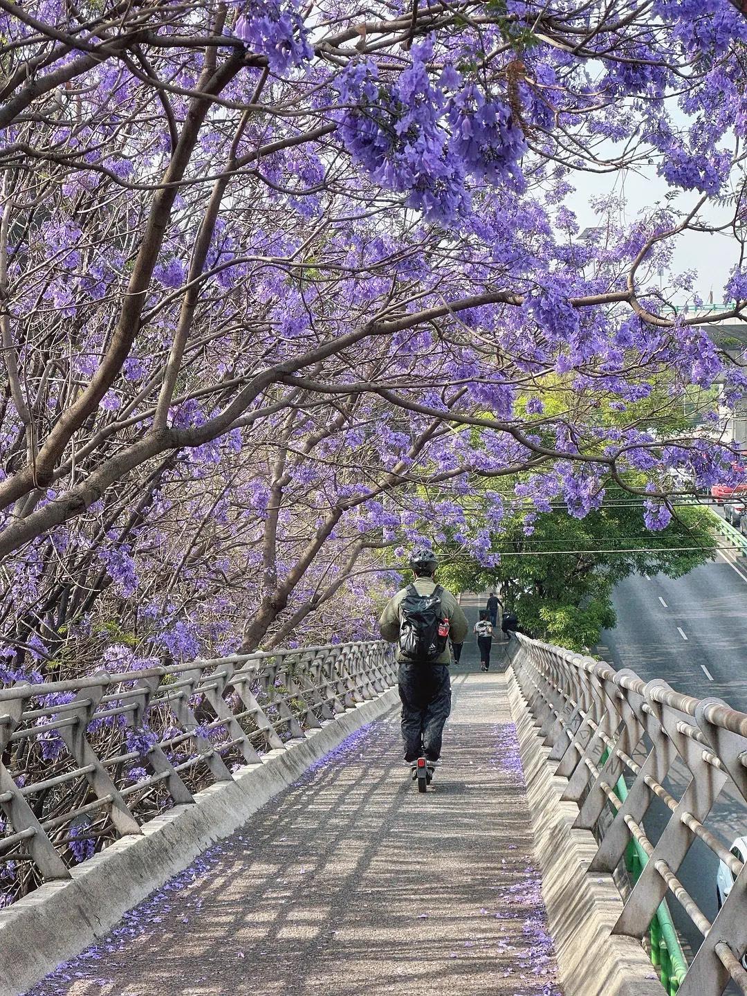 身体各器官衰老时间表：

大脑：35岁开始衰退
皮肤：20多岁开始衰老
骨骼：3