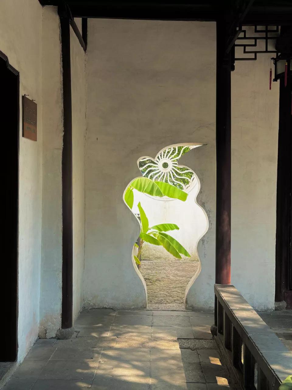 百年孤独中写道：“比起有人左右情绪的日子，我更喜欢无人问津的时光，一个人最好的状