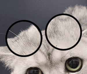 #刘昊然为新戏拔了头发眉毛#   演员为了角色需要做出的改变令人佩服，但...在