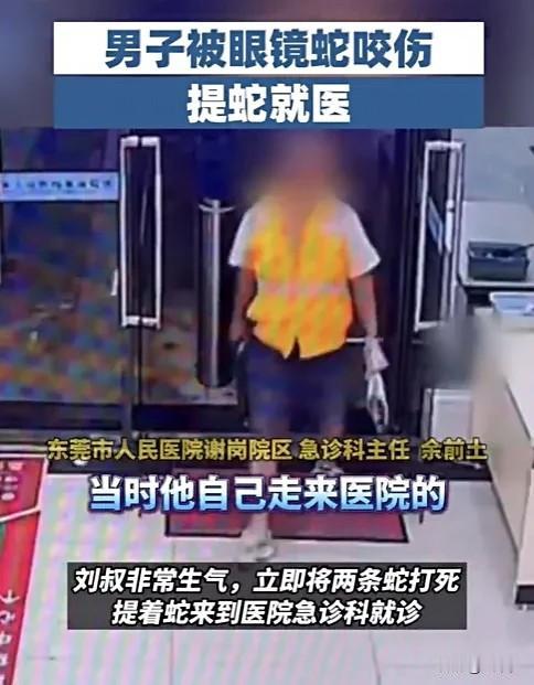 真是艺高人胆大，见多识广让他捡回一条命。近日，东莞62岁的刘大爷在小溪里捞鱼时，