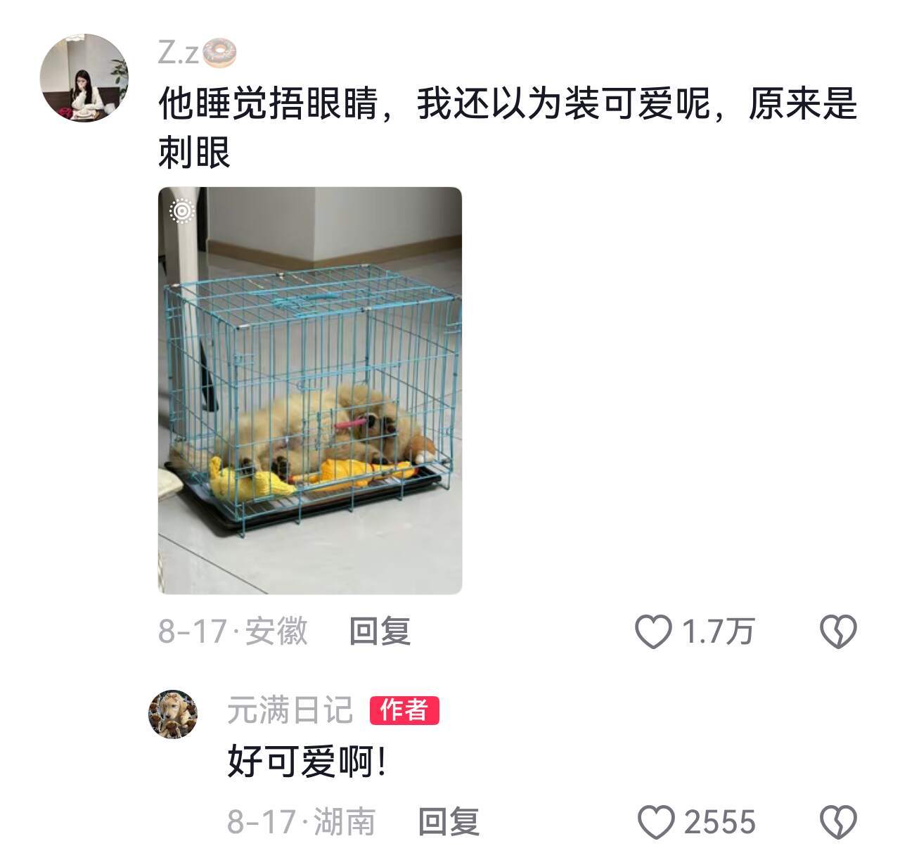 还以为它们只是单纯喜欢压着眼睛呢 ​​​