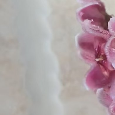 穗花翠雀（盆栽矮生款）种植方法：1. 配土：腐叶土、泥炭土、珍珠岩以3:1:1调
