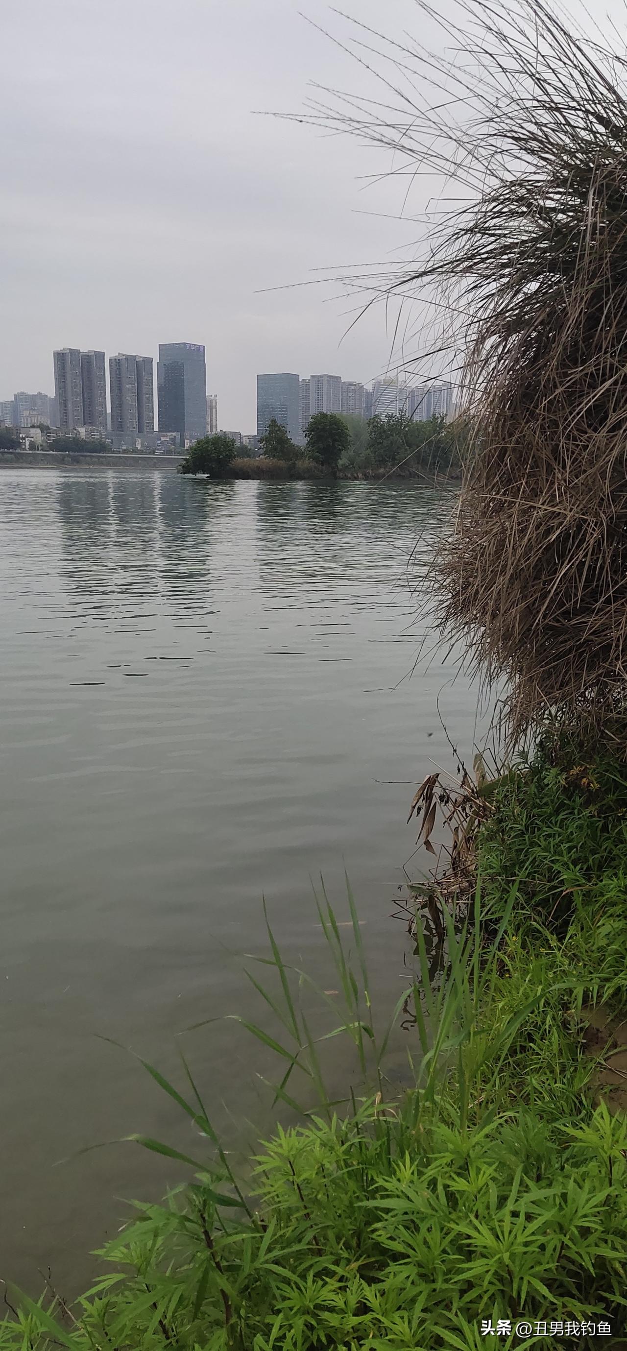 现在钓鱼真的越来越没意思了。以前钓鱼人有一个亿，黑坑生意那叫一个火爆，老板一发鱼