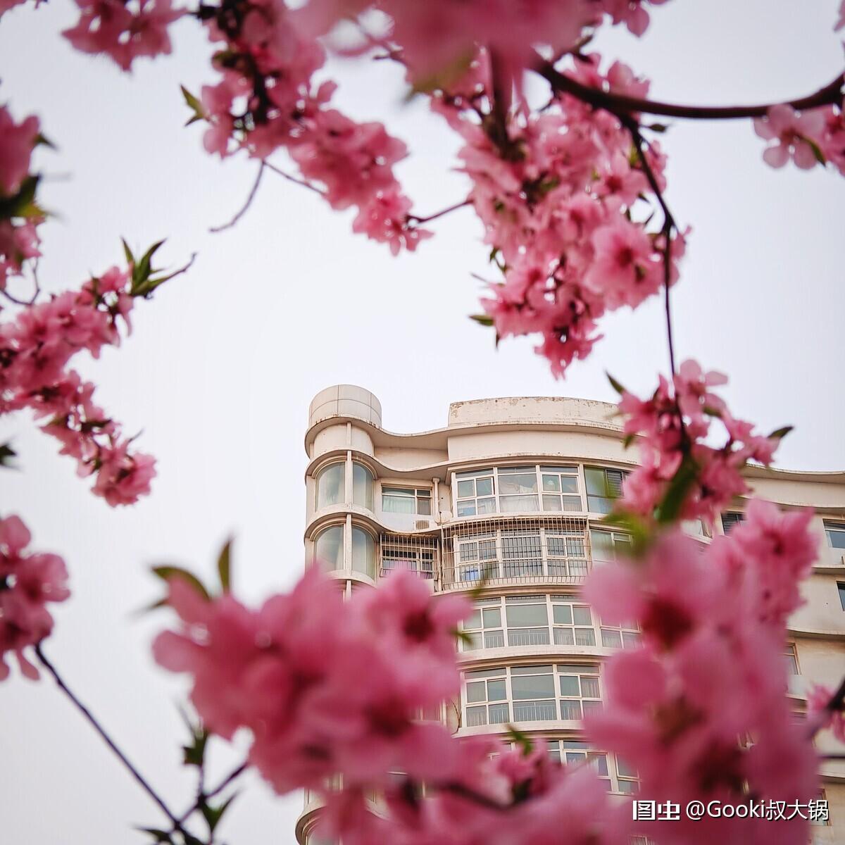 「#感知春天来临的瞬间」 「#2023拍照不要停」 「#一起拍春天」#图虫AIG