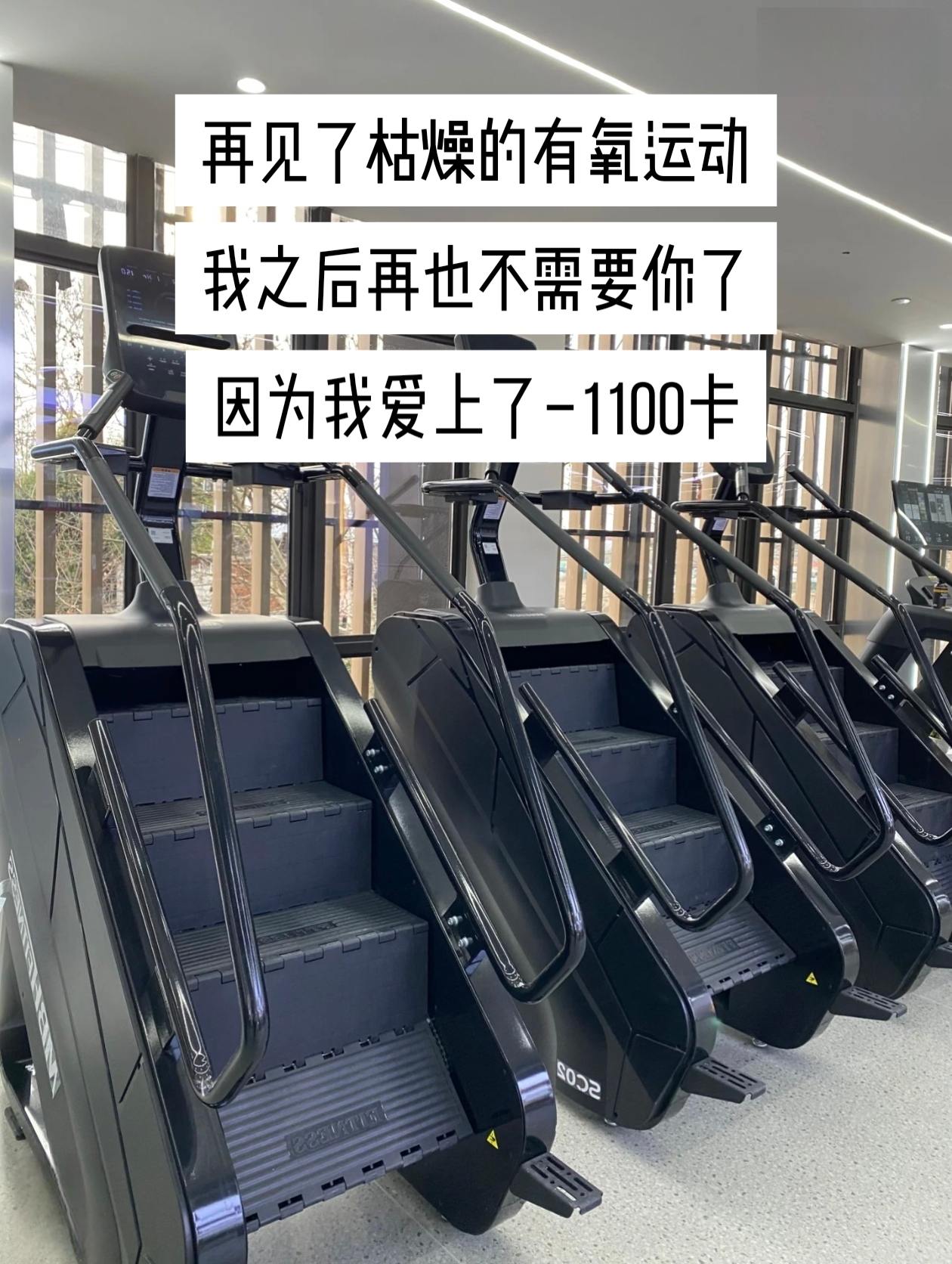 清晰的答案来自于行动，而不是空想，自律起来，你不比任何人差