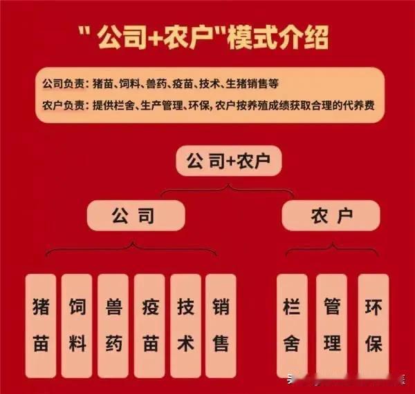 还在为养猪成本高、利润薄发愁吗？今天给“公司+农户”模式下的养猪人分享一个增收秘
