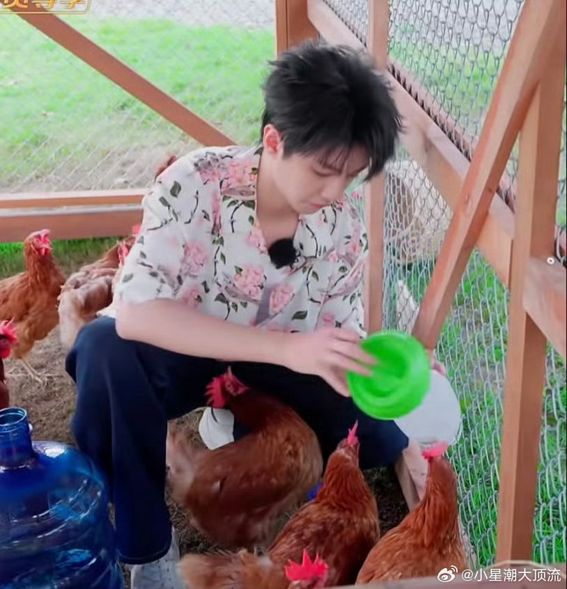 王俊凯  哈哈哈哈哈哈哈要被中餐厅这段笑鼠！被鸡🐔包围的凯凯~王俊凯os：你这
