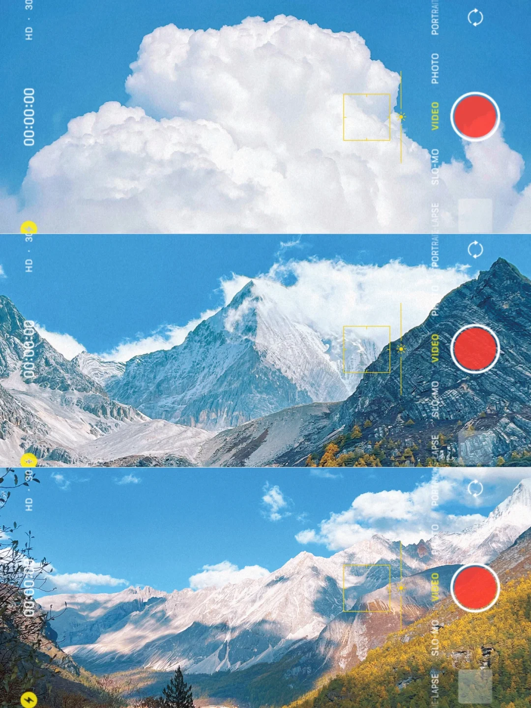 ✨这胶片滤镜也太太太适合初冬了吧！