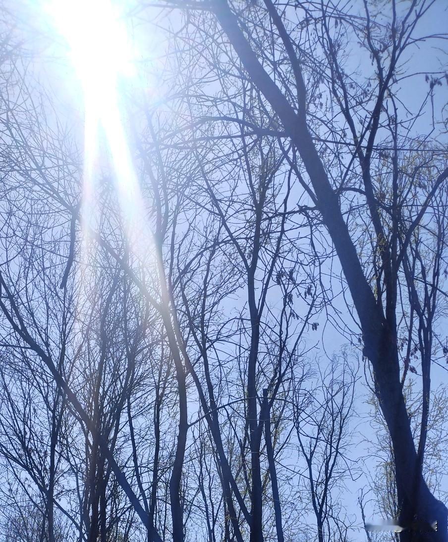 要说看3遍以上的电影，我还得想想。好多看很多遍的电影，可能想不起来是什么了。我记