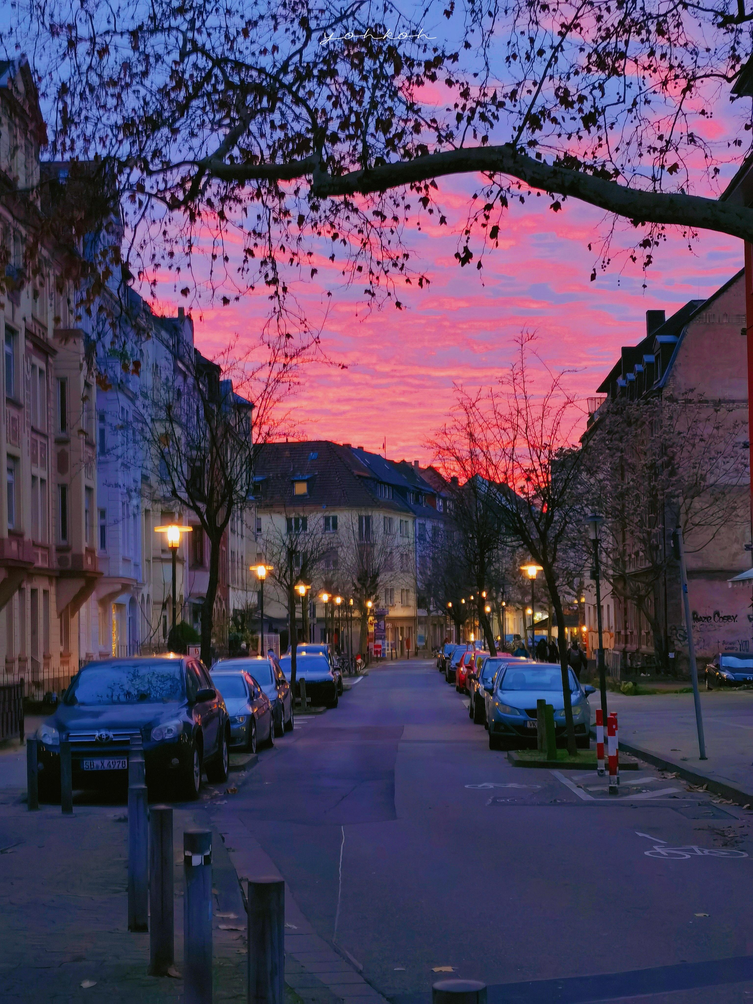 错过了公交但回头看撞见一整片好风景墩墩看星星