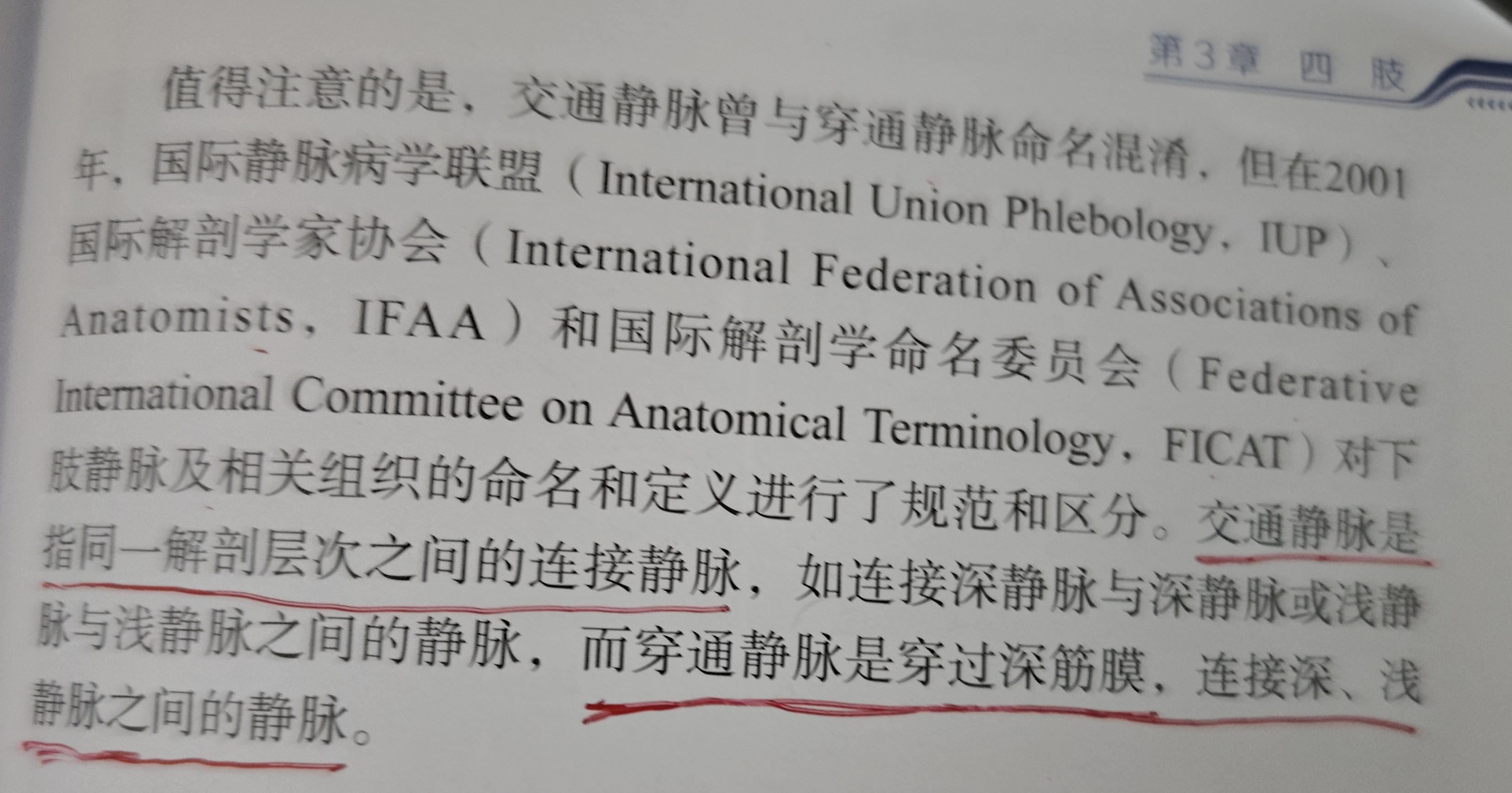 交通静脉超声。穿静脉超声 穿静脉与交通静脉区别 交通静脉是指同一解剖层...