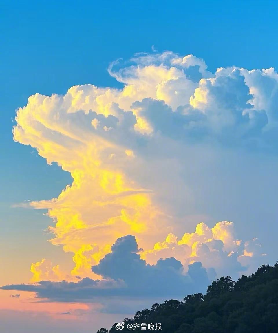 借缕晨光，治愈所有疲惫。#早安#