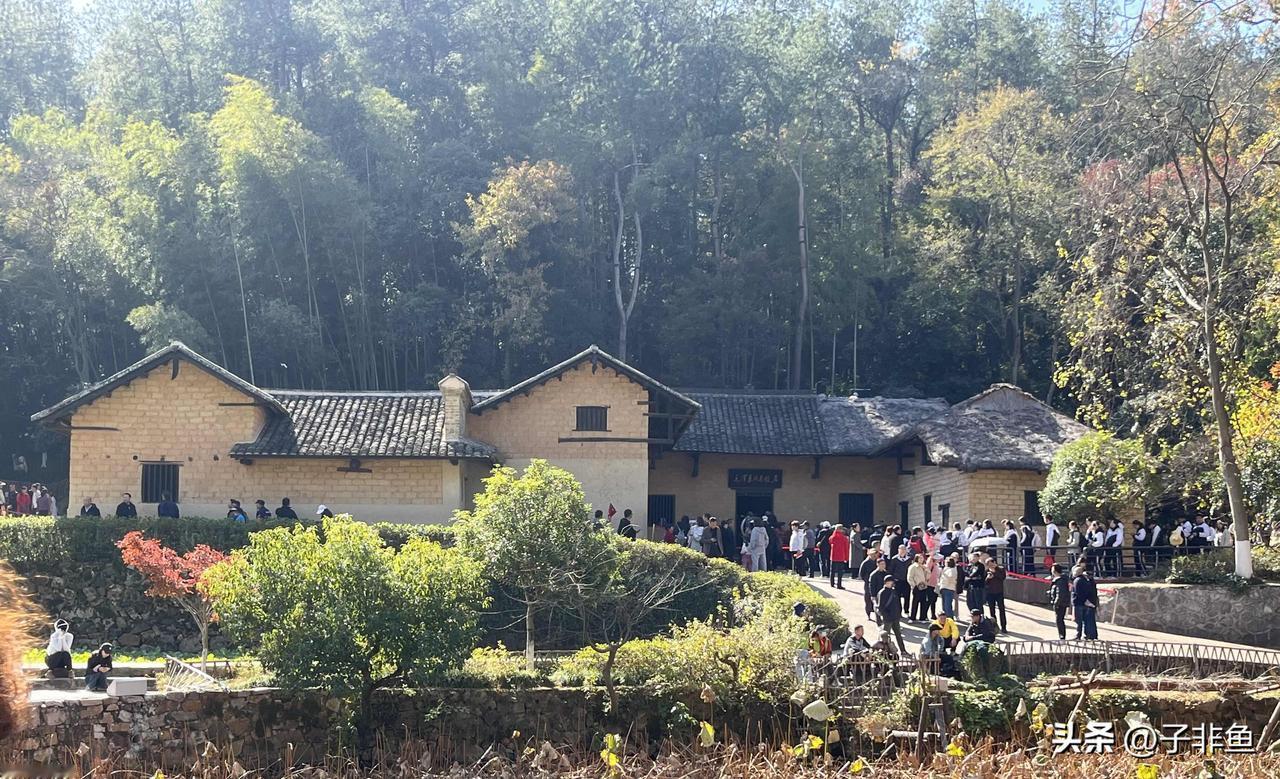 小学课本上的韶山具象化了，车轮飞汽笛叫，火车向着韶山跑，穿过峻岭越过河，迎着霞光