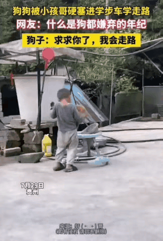 狗都嫌弃的年纪[捂脸][捂脸]