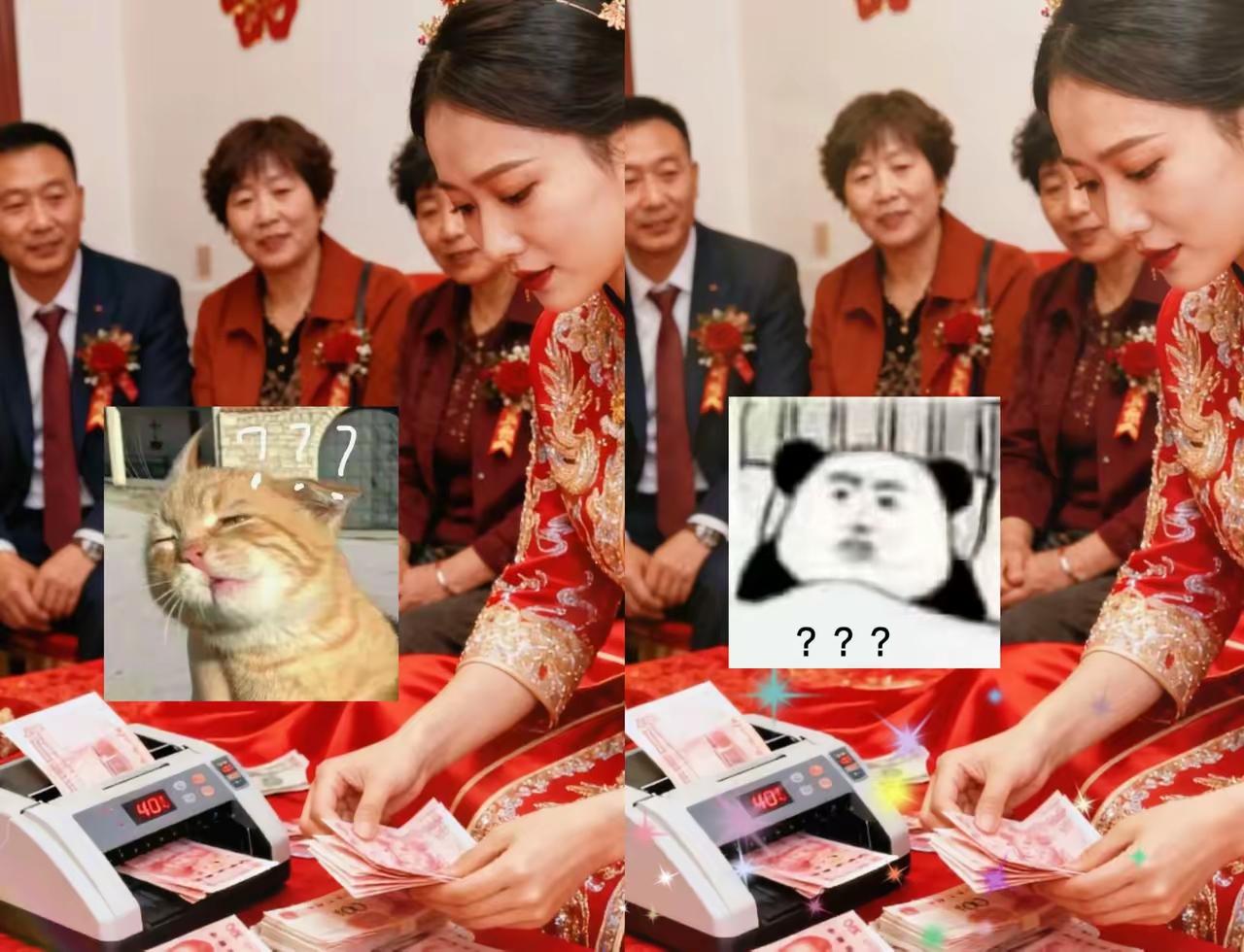 男方家送40万彩礼上门，结果女方一家人一张一张手动点钱还不够，居然搬来验钞机逐张