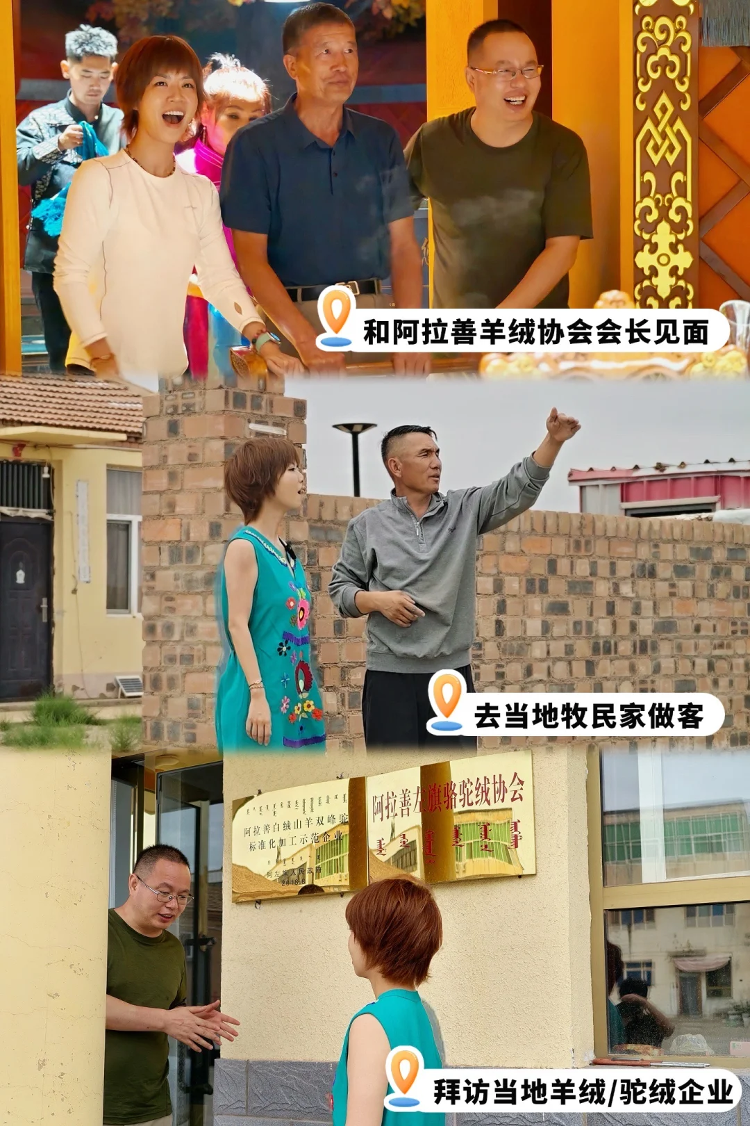 上周去阿拉善的正事就是考察羊绒，专门见了羊绒协会会长，还去拜访了当地牧...