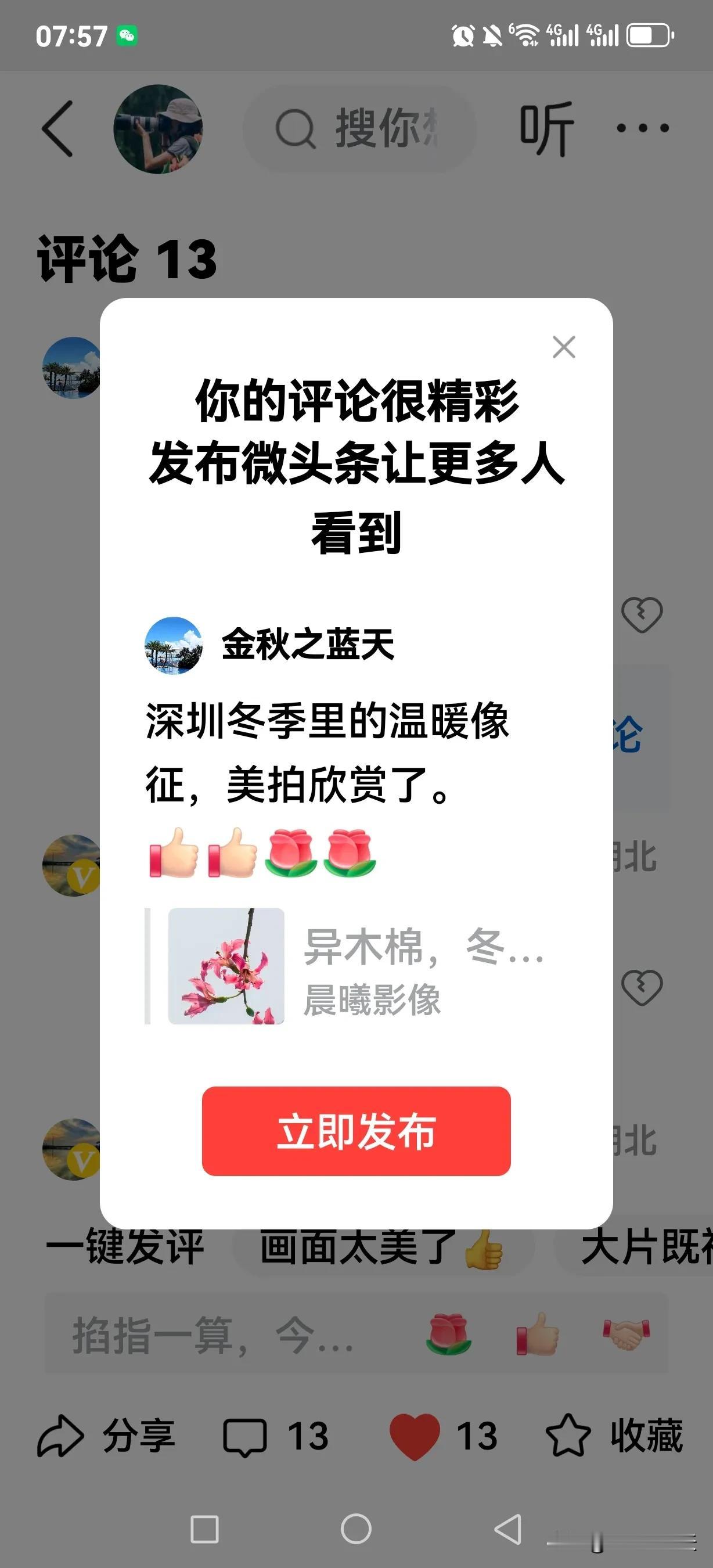 深圳冬季里的温暖像征，美拍欣赏了。
[赞][赞][玫瑰][玫瑰]