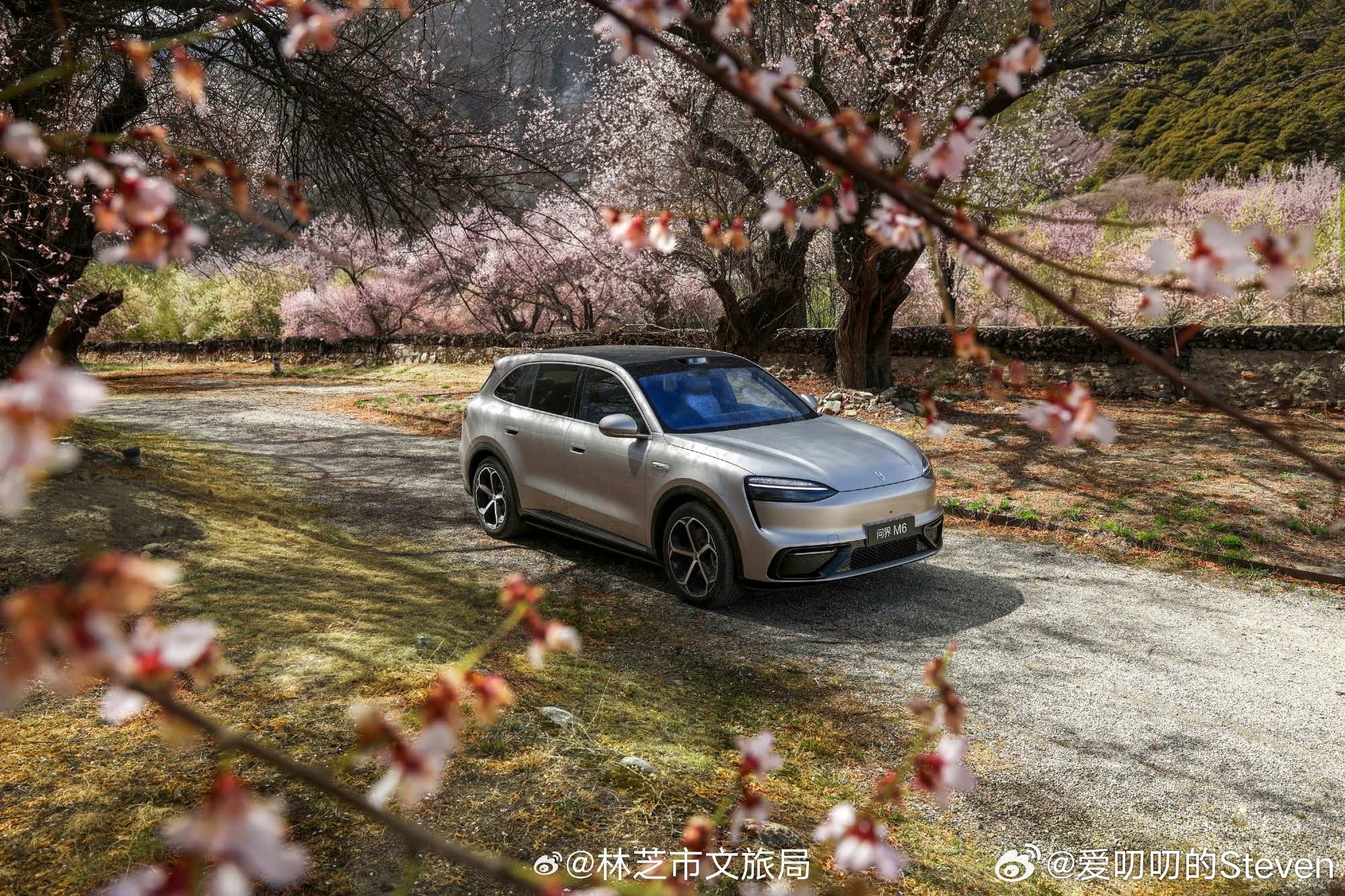 林芝文旅转了问界M6的美图，桃花节确实出片。问界m6