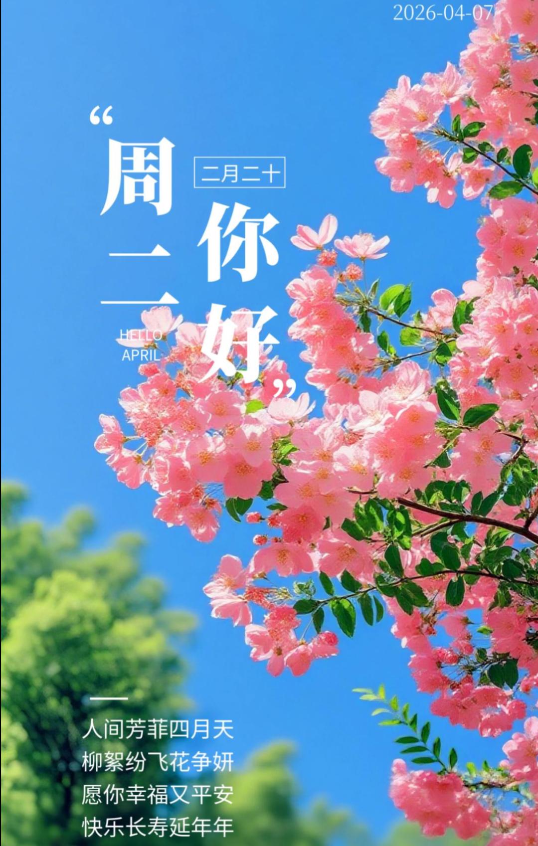 ☀️🍃早上好！把清晨的问候藏进春风，把美好的期许写进时光。愿你今日无烦恼，满心