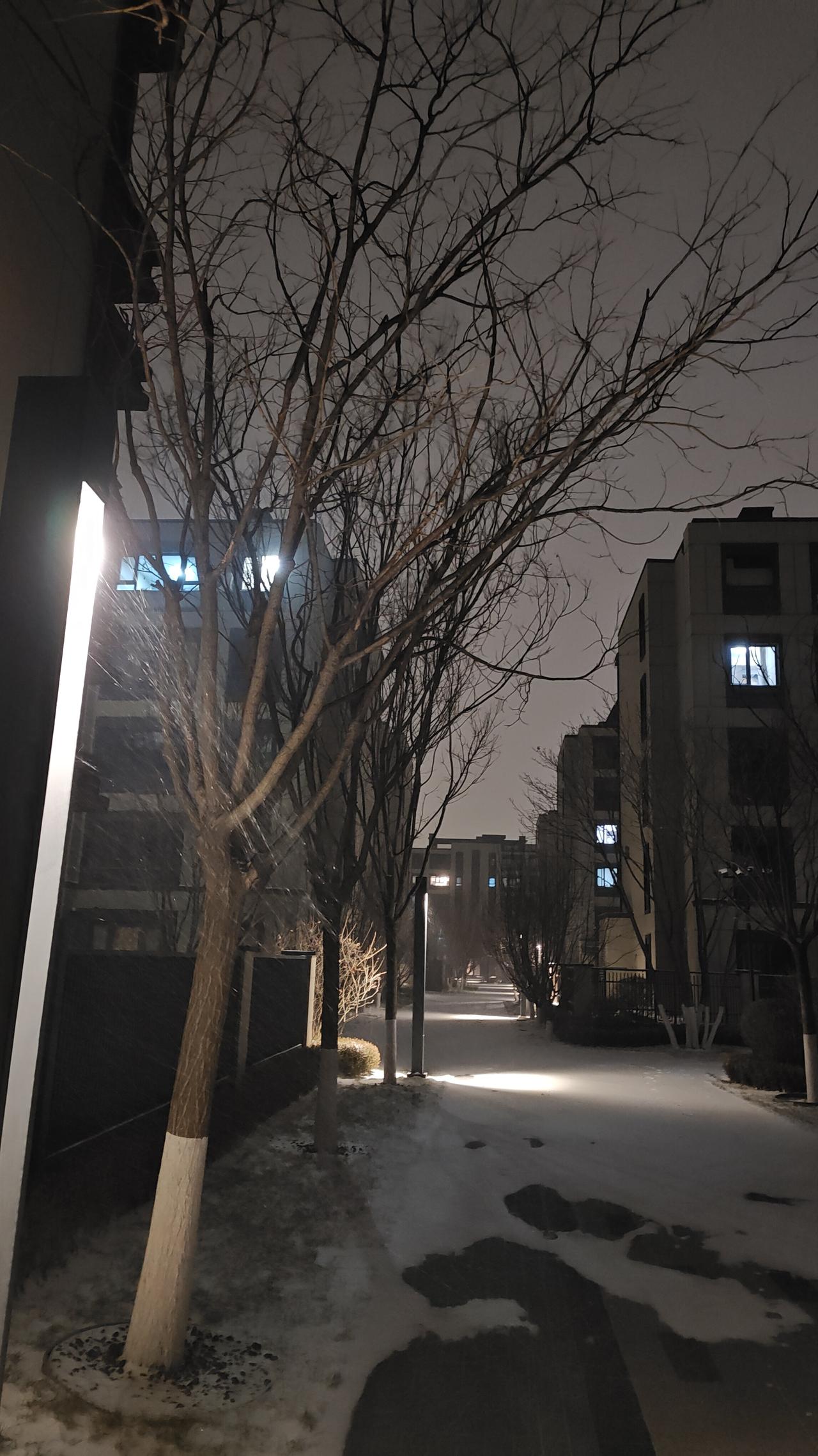 冬夜雪景，静谧的街道，暖灯映照，宁静而温馨。
街上的雪景 雪景氛围图 冬日夜景
