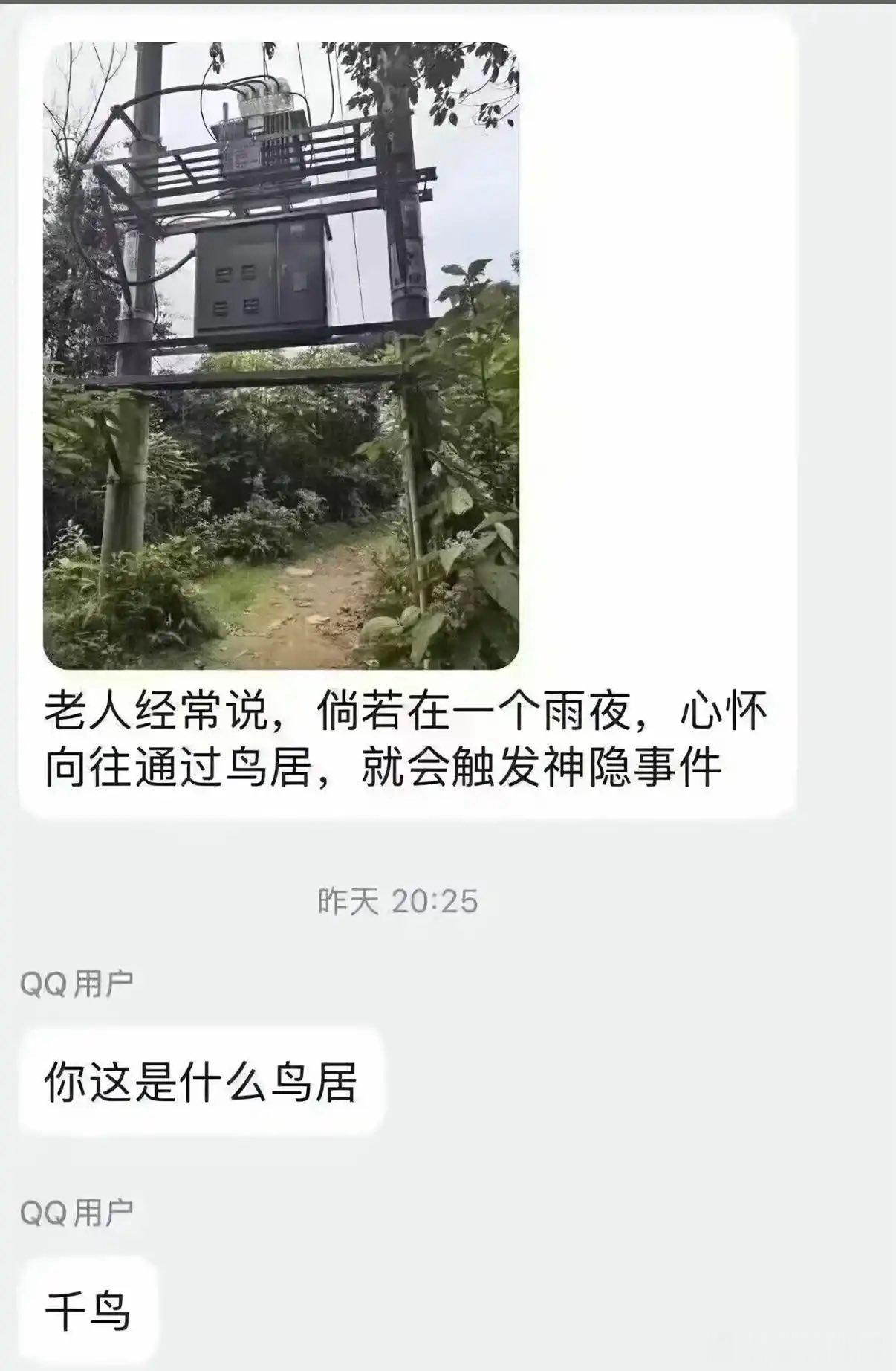 并非鸟居meme