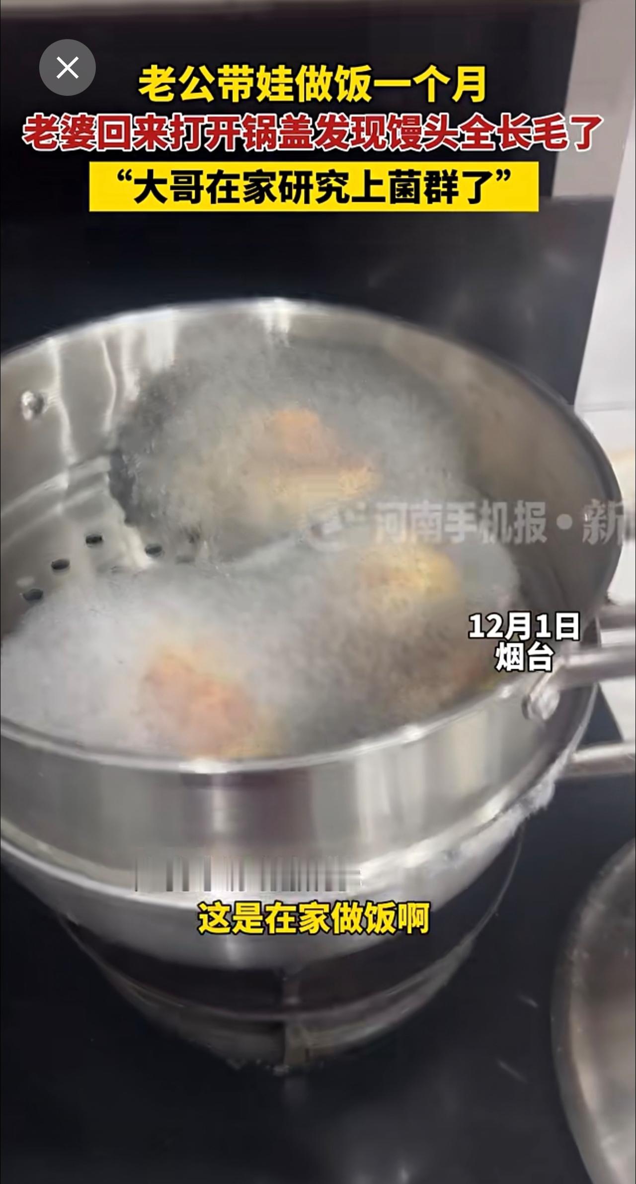 老公带娃做饭一个月，老婆回来打开锅盖发现馒头全长毛了，“大哥在家研究上菌群了”。