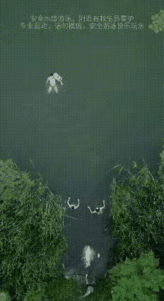 四驱狗子太好玩了[得意][得意]