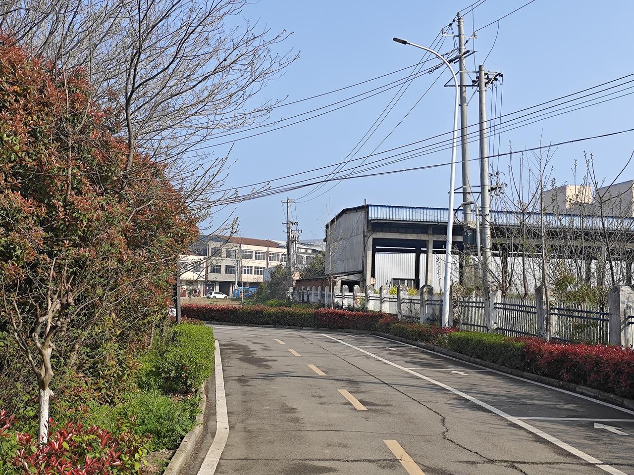 从教四十年感悟：能当校长的，从来都不只是课教得好的人
深耕教育四十载，见过无数优