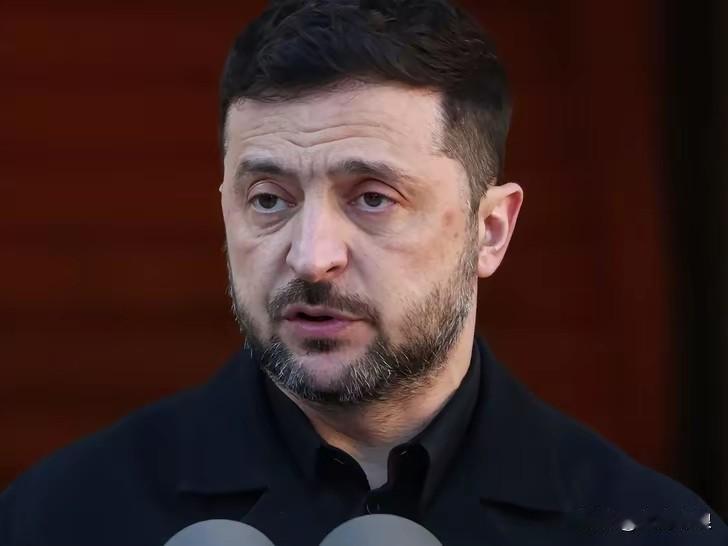 乌克兰总统泽连斯基最新表态：这个问题可以考虑！

乌克兰总统泽连斯基12月24日