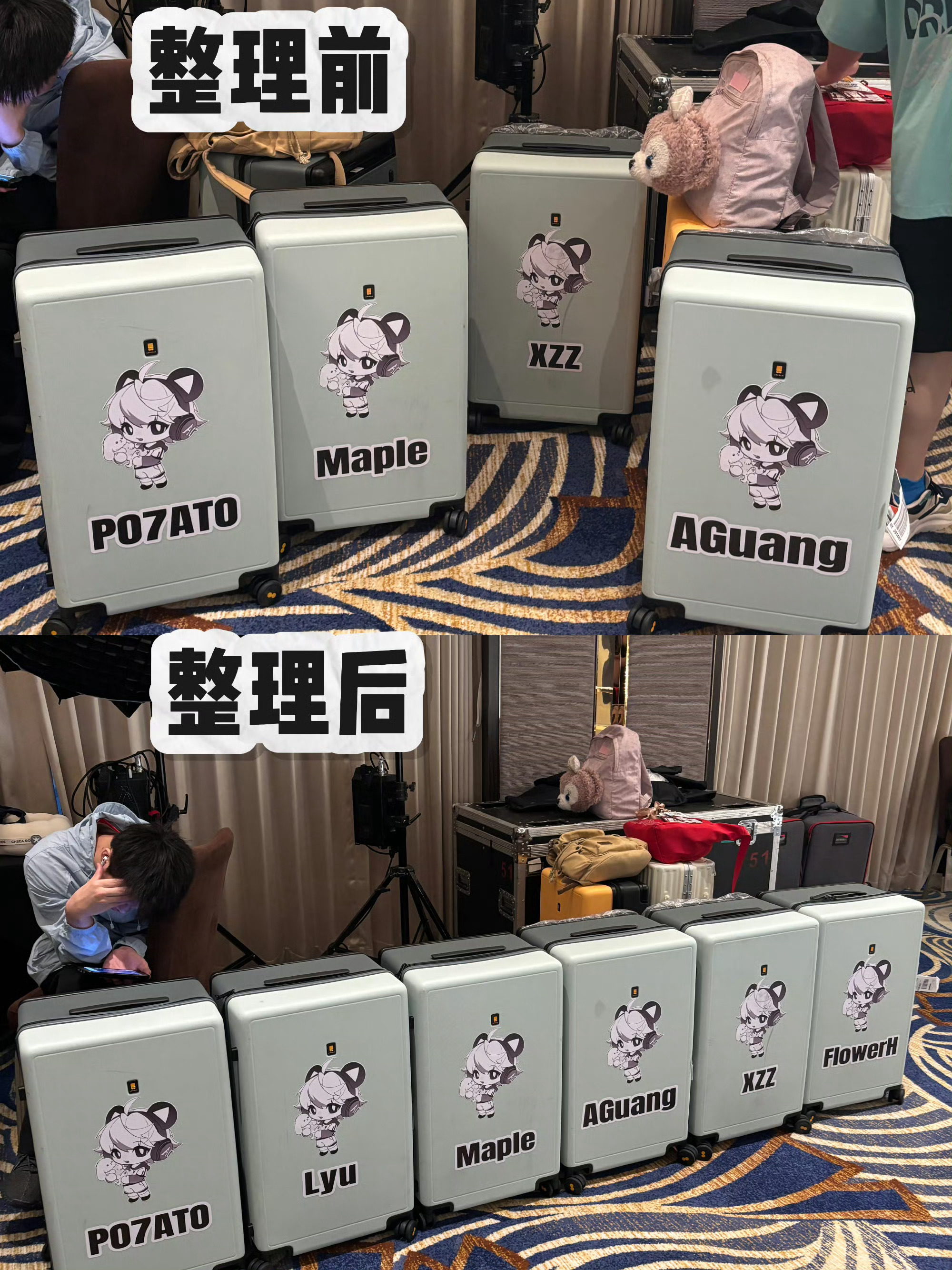 好可爱的日常鲜活可爱的五小糕们2026PEL夏季赛2026PEL