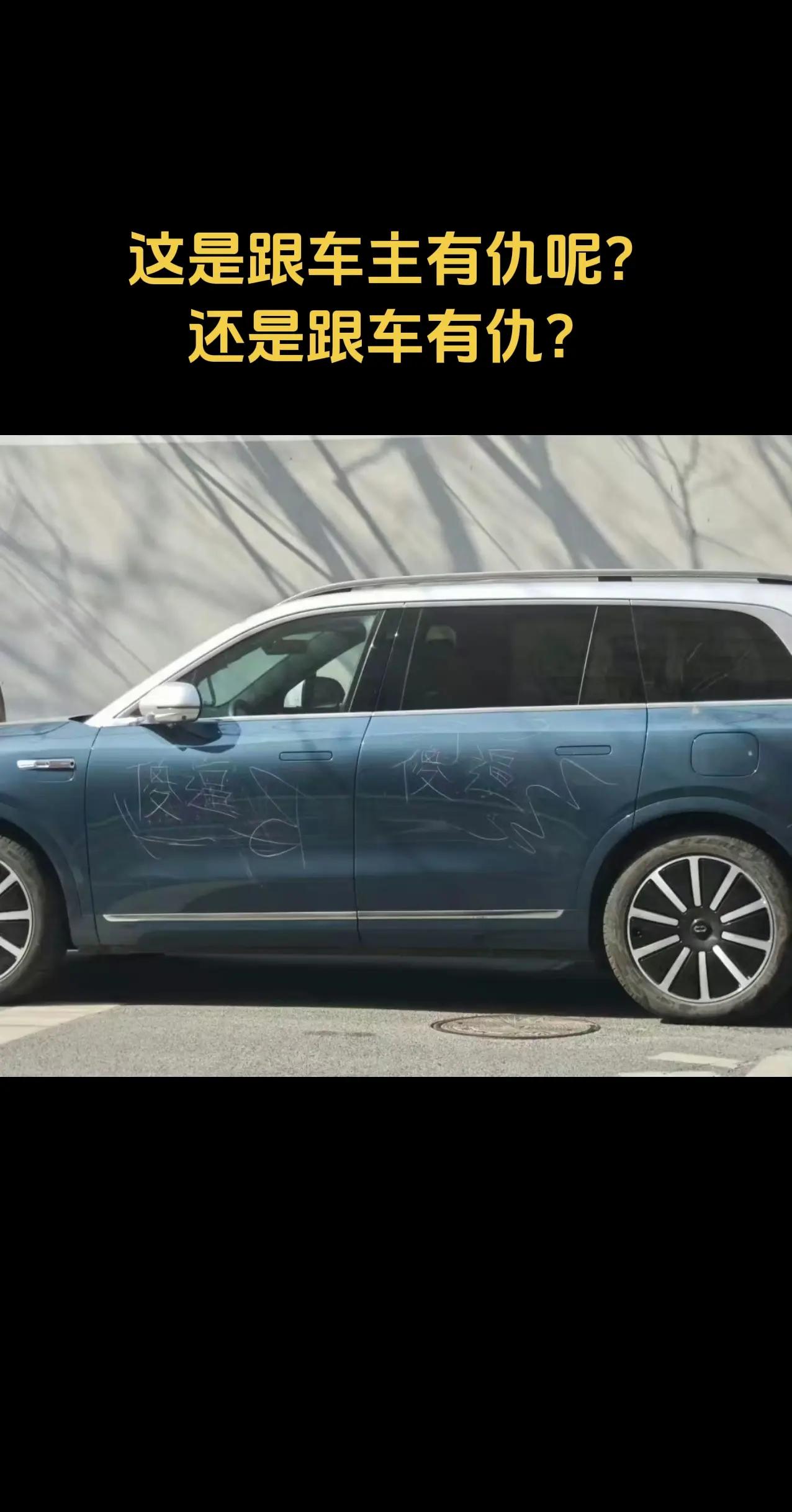 这是跟车主有仇呢？还是跟车有仇？