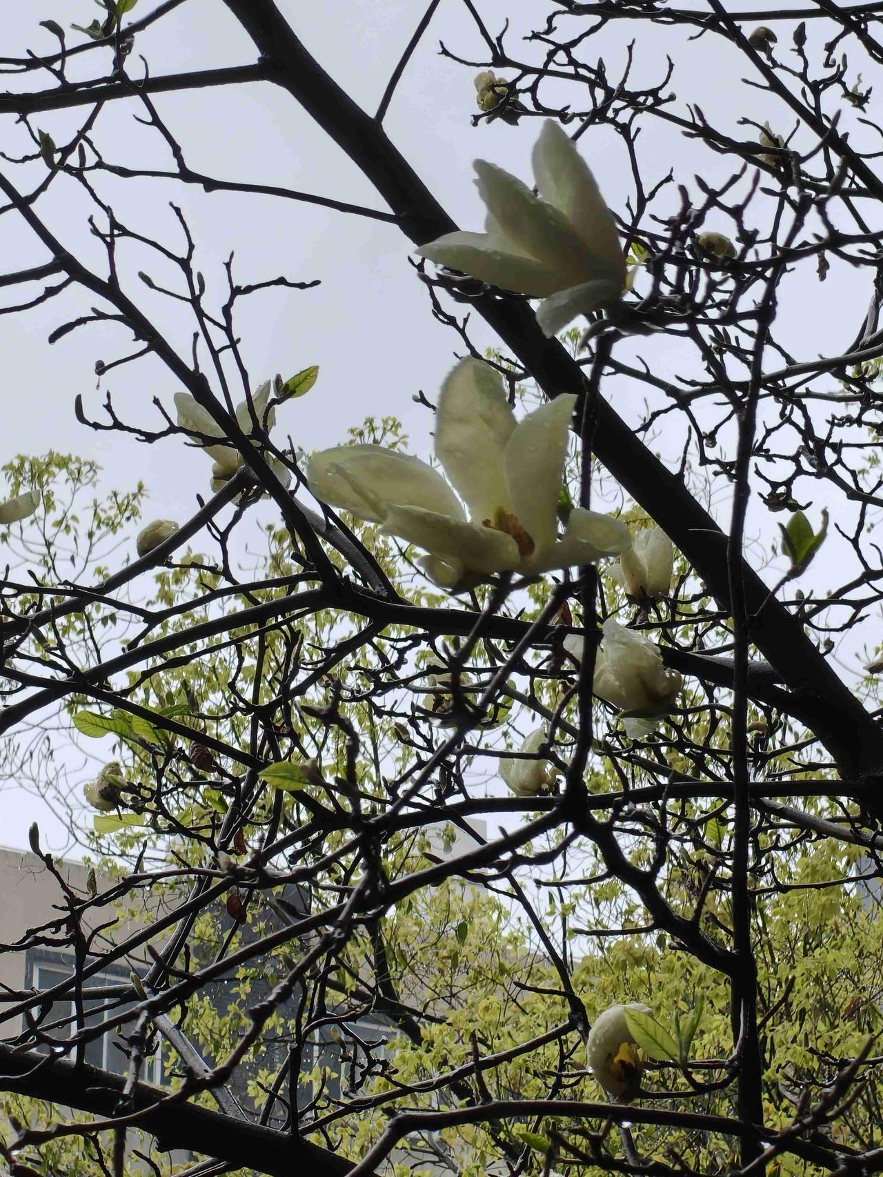 我的今日状态：😎自信酷炫
我这里的天气：🌧下雨