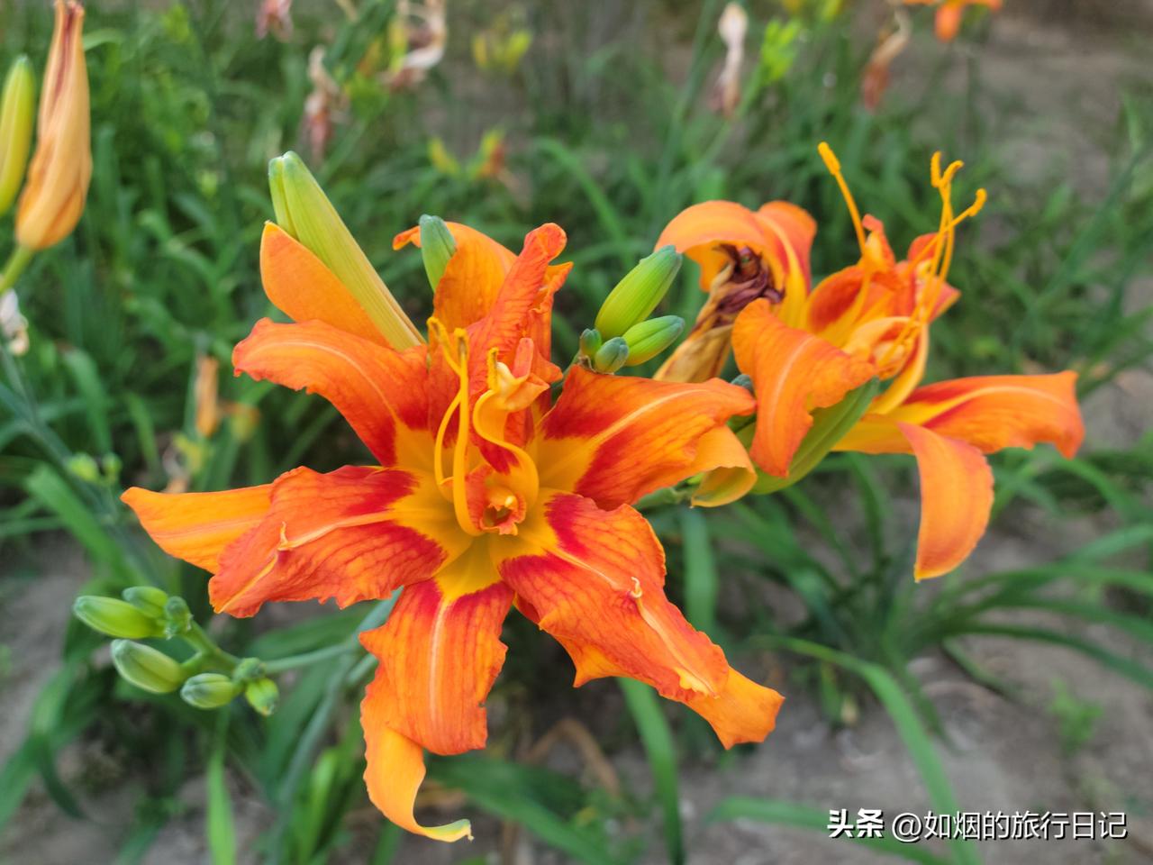 老公说，做胃肠镜，需要喝3000毫升的药水才行，他让我带医院一个500毫升杯子，