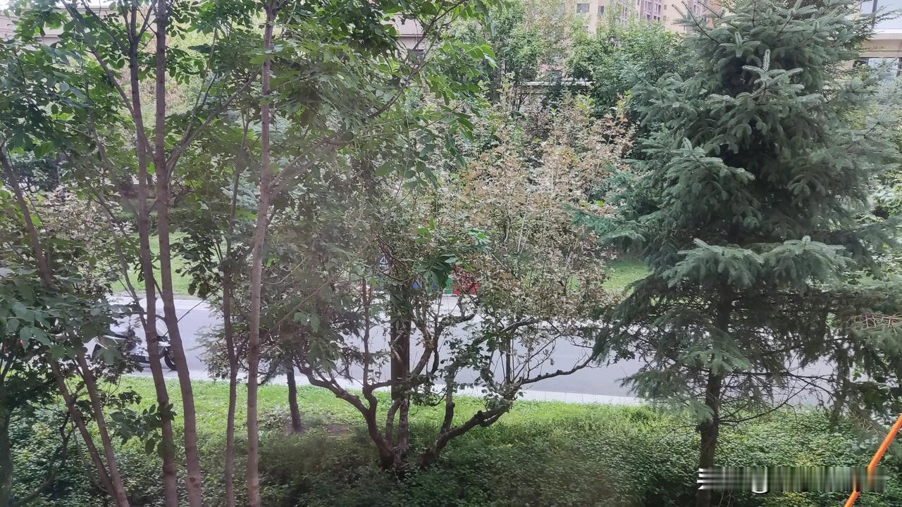 过去生活条件不好，老百姓住房都比较窄小、局促，人们也不讲什么“风水”。现在随着生