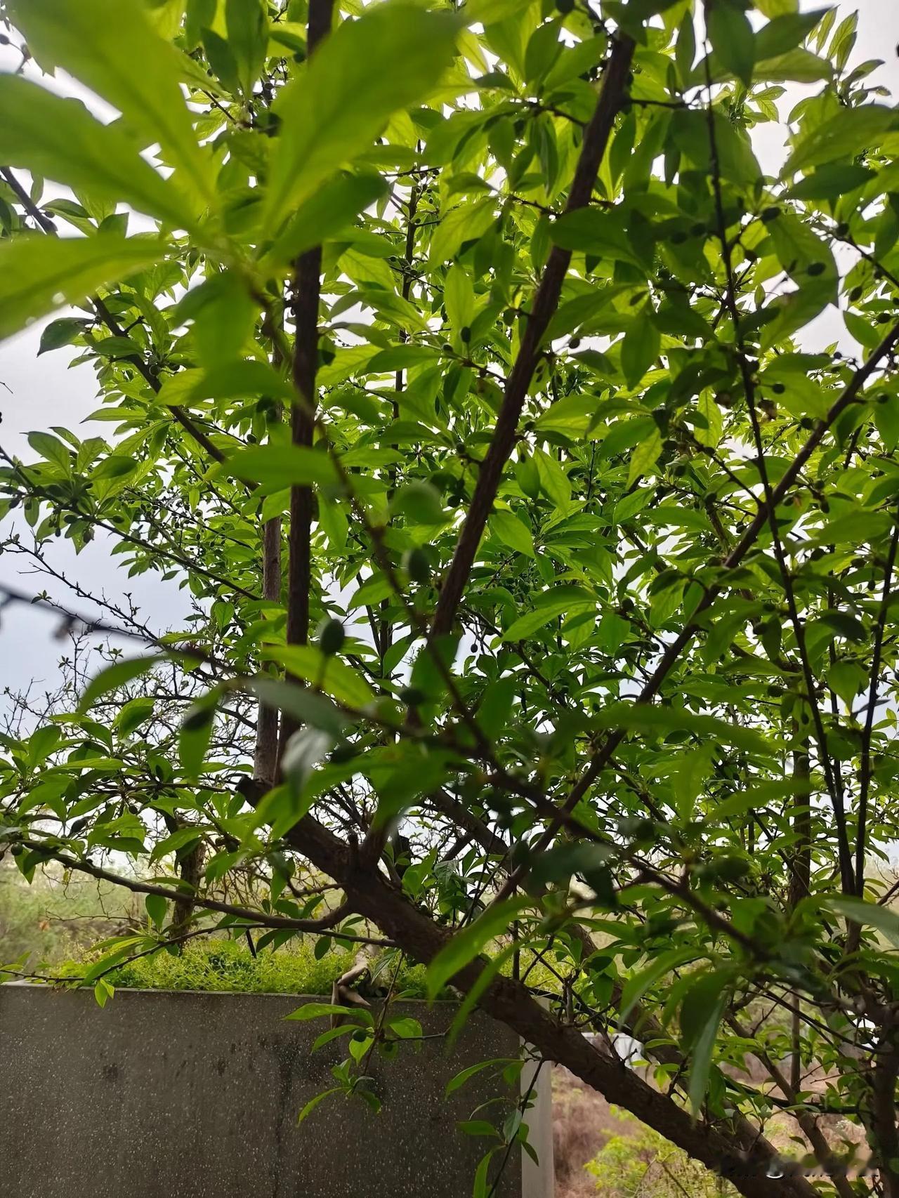 人到中年才懂得：婚姻，其实就是和脾气过日子
 
年轻时总以为婚姻是靠浪漫过日子，