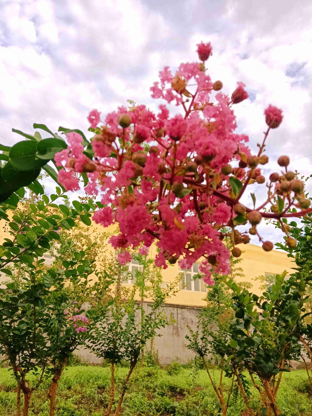 我的今日状态：💰期待暴富
我这里的天气：☀️晴天