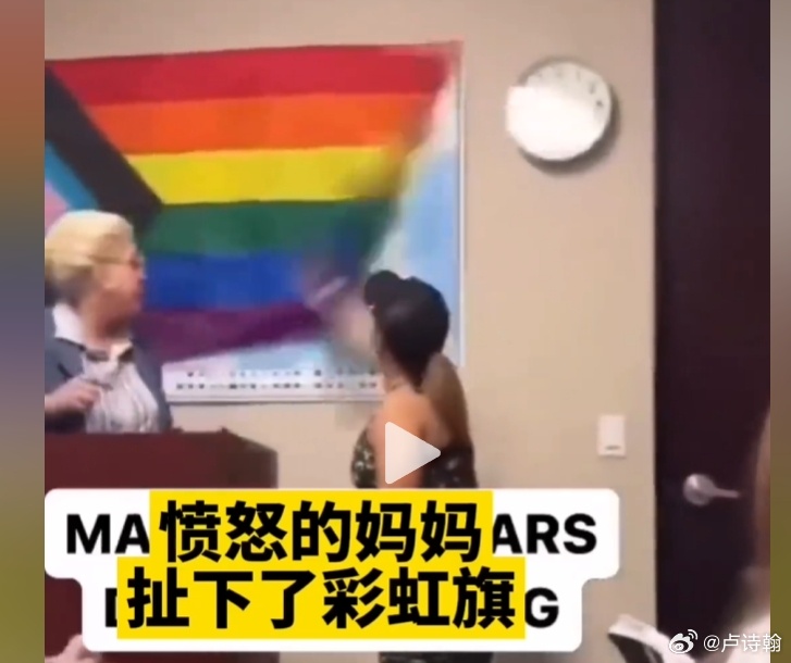 展开再说一下吧，南京红姐或者说红老头事件我认为是真正意义上的后现代问题进入主流视