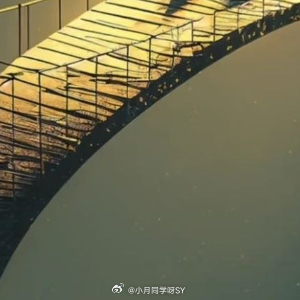 晚安心语 对着同一个月亮🌙说一句晚安💤会不会在梦里遇见🎑 