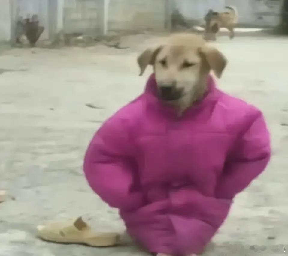 不玻璃心，朋友们帮我看下，我穿哪个颜色好看？ 