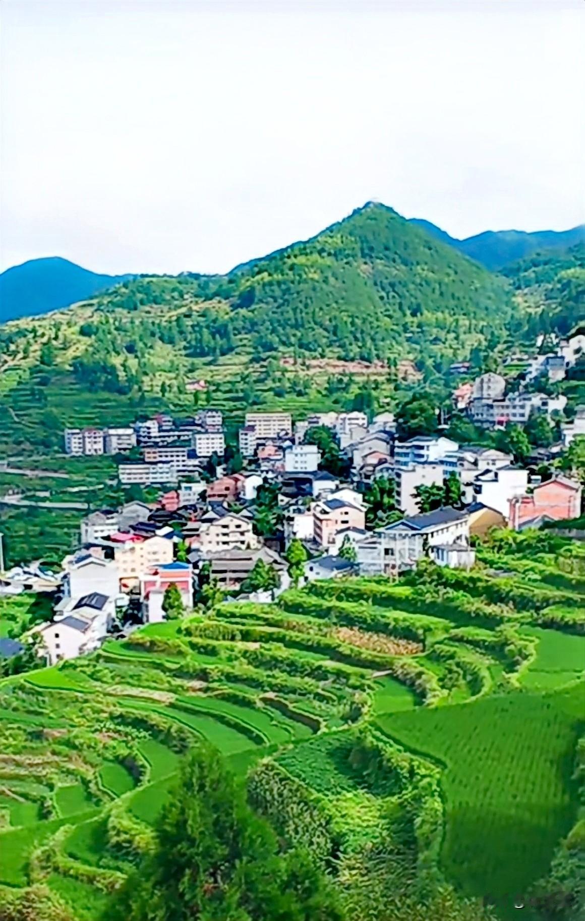乡村美景总能让人沉醉，就像贵州从江的梯田。初秋时分，从江县月亮山区加鸠镇加页村的