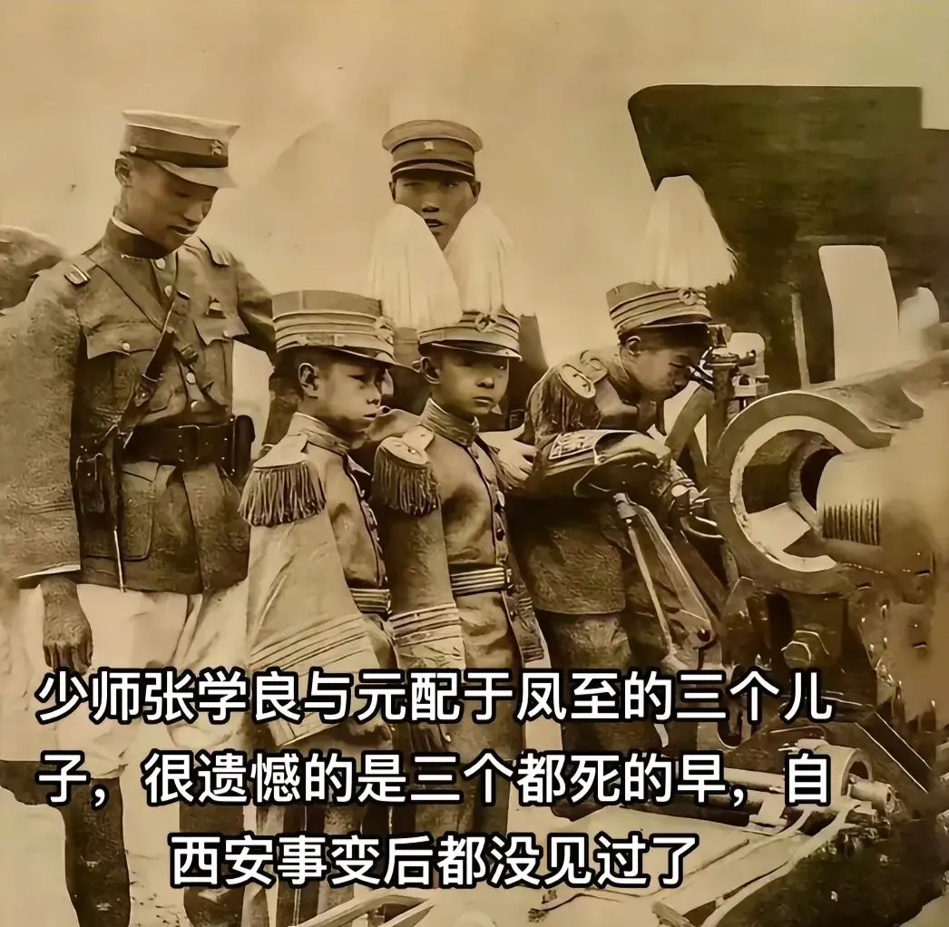 历史 张学良少帅 于凤至