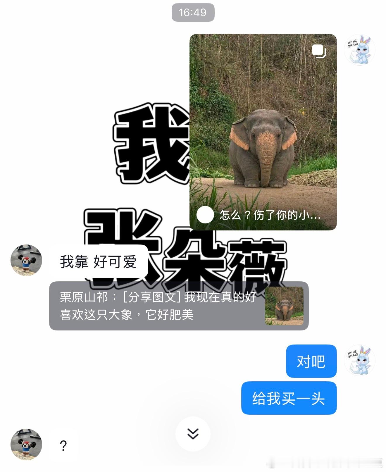？ ​​​
