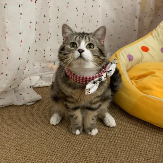 老师🙋🏻‍♀️我家小孩能当童模吗（不玻璃心）