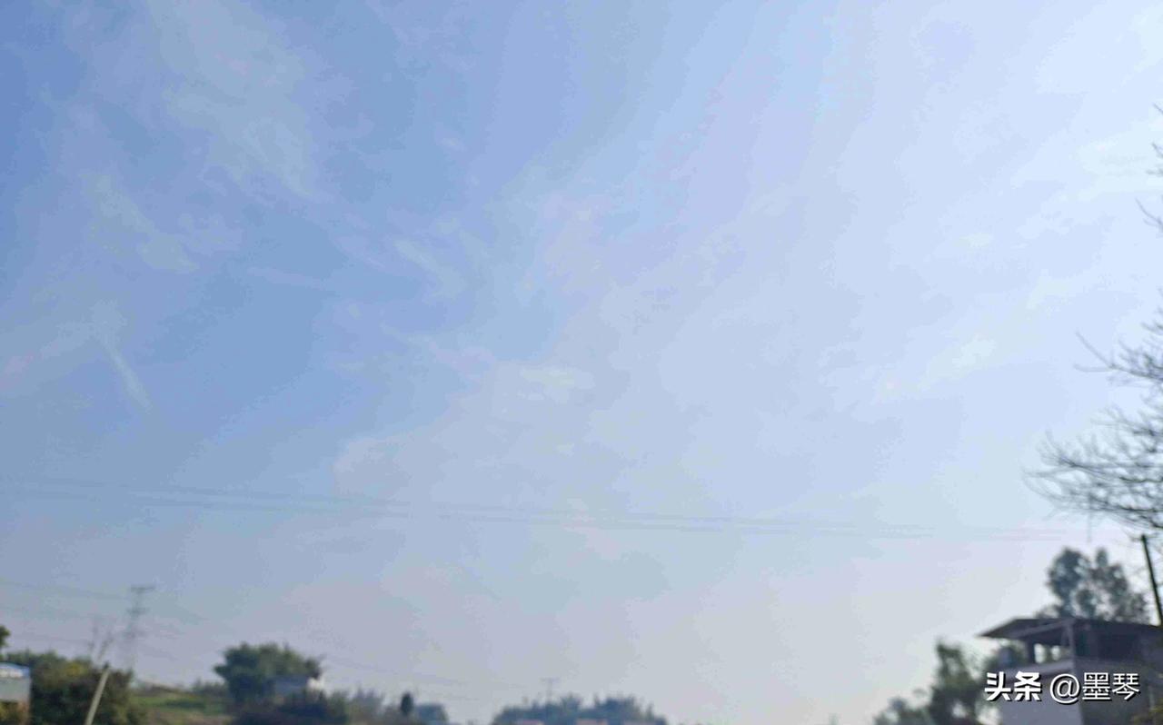  
 
孩子过早涉及网络有多可怕？

 
今天去菜市场买菜的途中，我听到了一段看