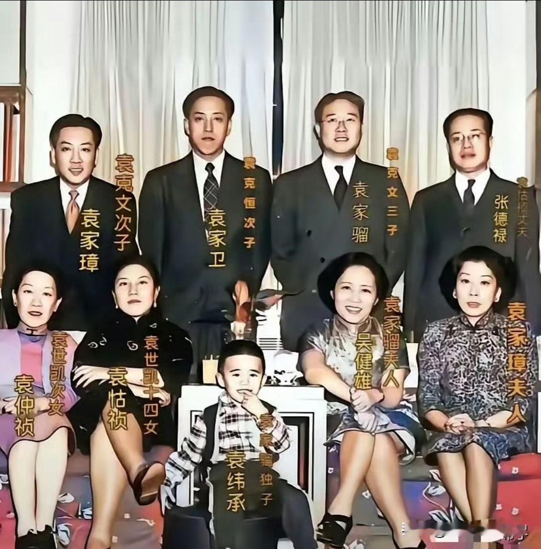 这是袁家骝和妻子吴健雄与家人的一张珍贵合影。
袁家骝是袁世凯之孙，吴健雄是闻名世