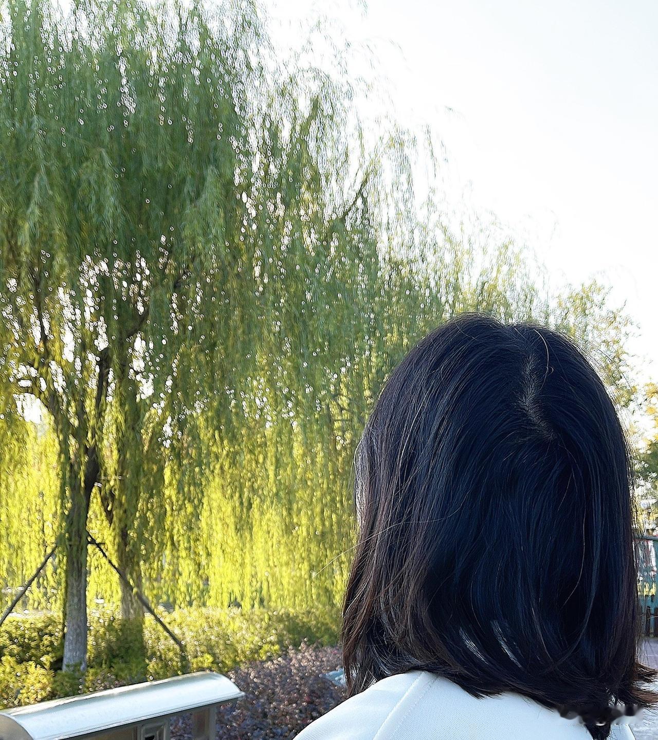 你们有白头发吗？95年的人，头上竟有这么多白发，尤其是两侧
有人说这是压力过大、