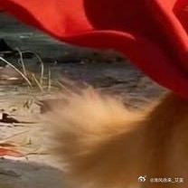 阳光信用  ❤阳光信用💜 【hu动指路 不吞必hui 不带🔗 勿带hui字，