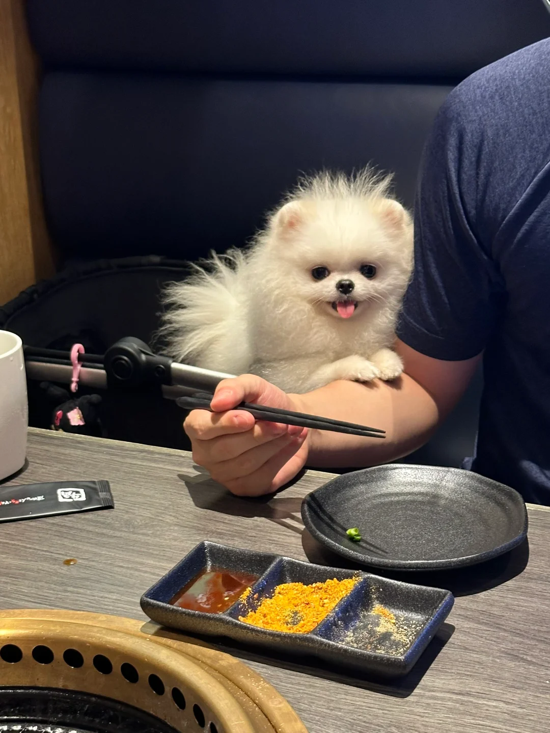吃饭就吃饭 你别撒娇