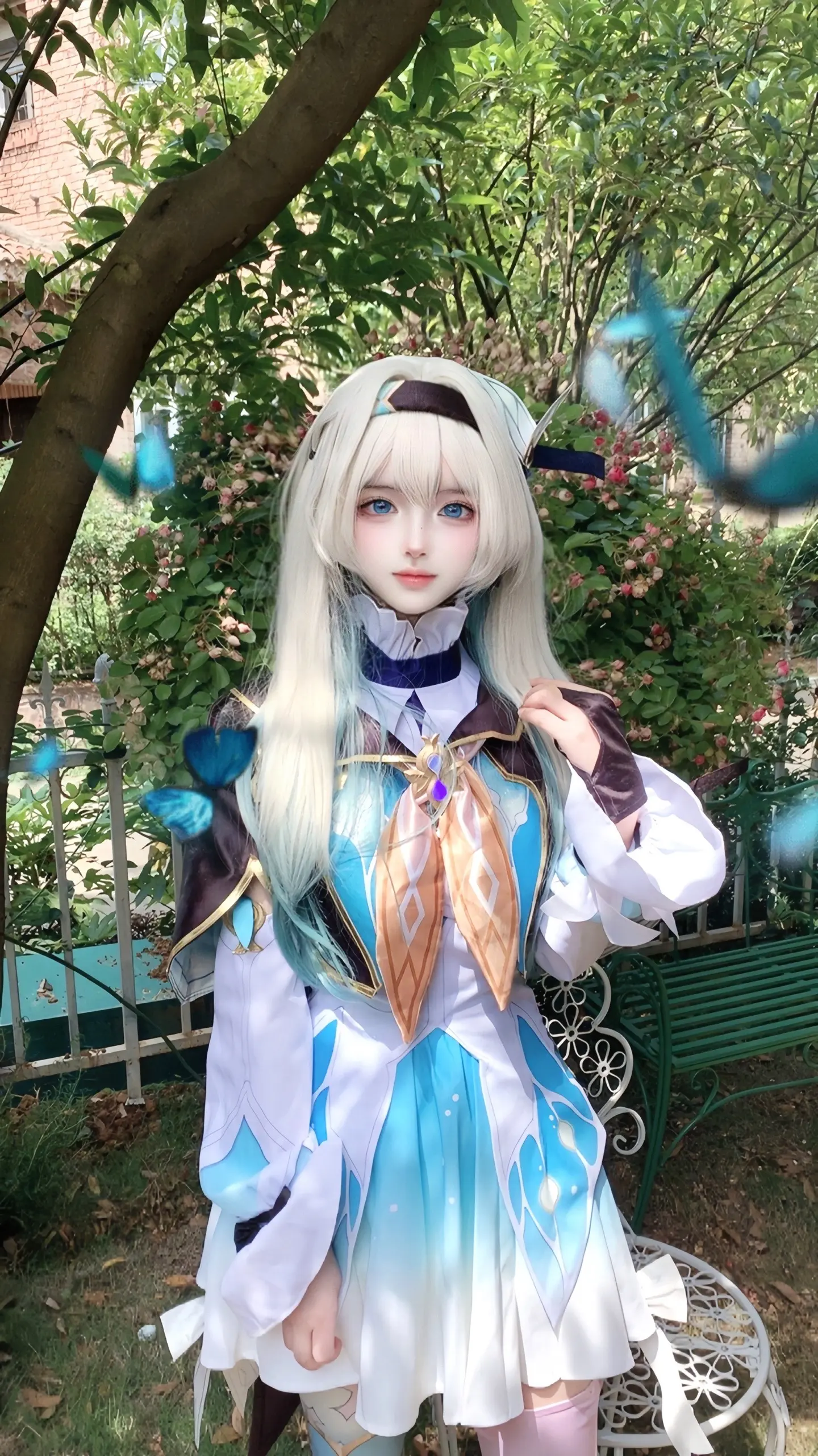 看看你手机里流萤的美照。