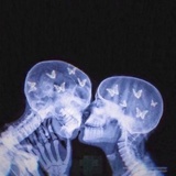 椰朗朗爱品社会